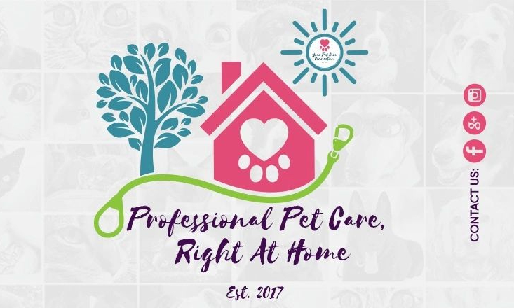 Professional Pet Care Right At Home, Pinehurst NC, Your Pet Care Connection