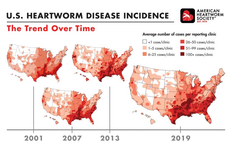 AHS Pet Heartworm Infographic