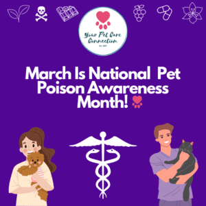 YPCC Pet Blog - Pet Poison Awareness Month