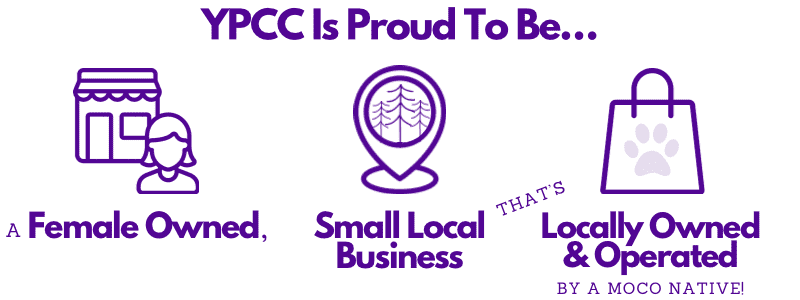 YPCC Is A Female Owned, Small Local Business