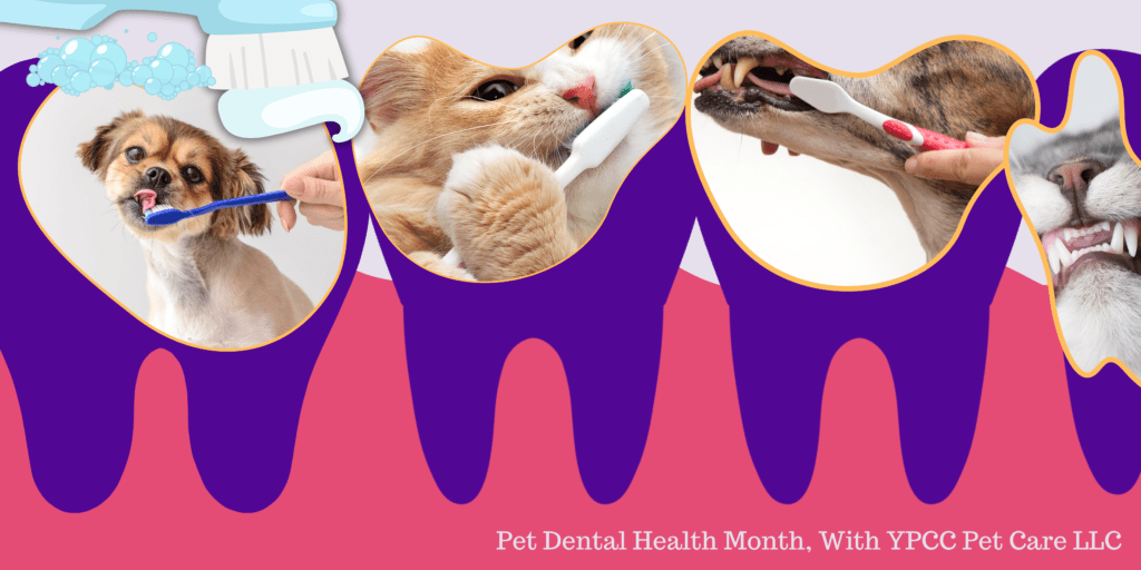 YPCC Blog, Pet Dental Health Month, No Love For Bad Breath