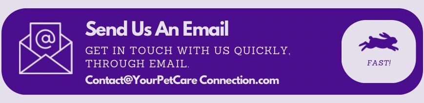 Ways To Contact Us. Get In Touch With Your Pet Care Connection Today!