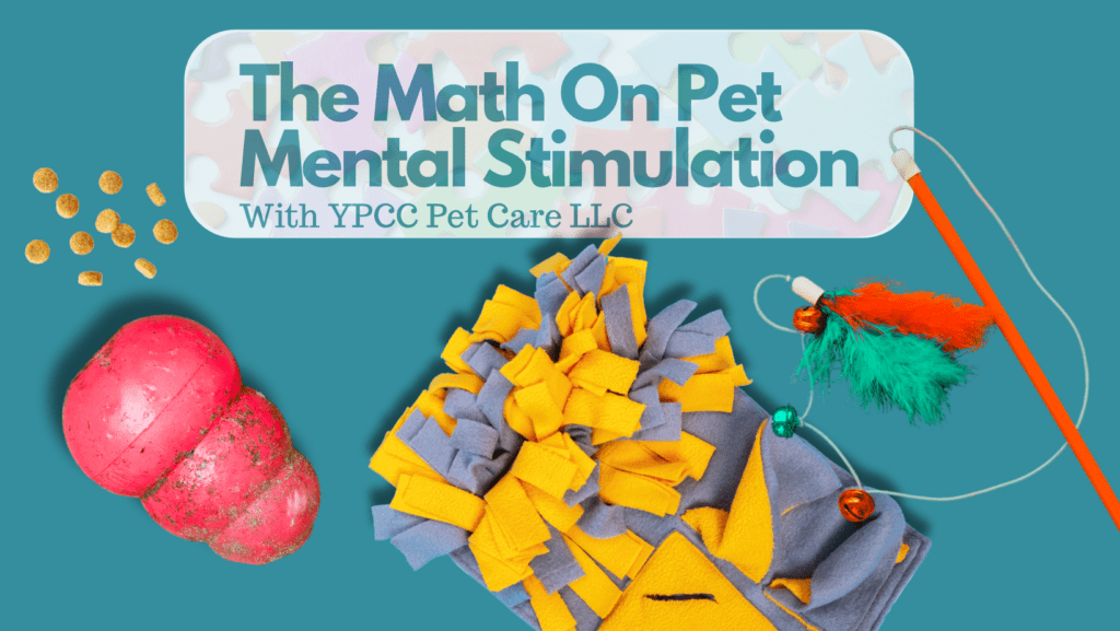 Exercise & Mental Stimulation, For Pinehurst Pet Parents And Their Pets