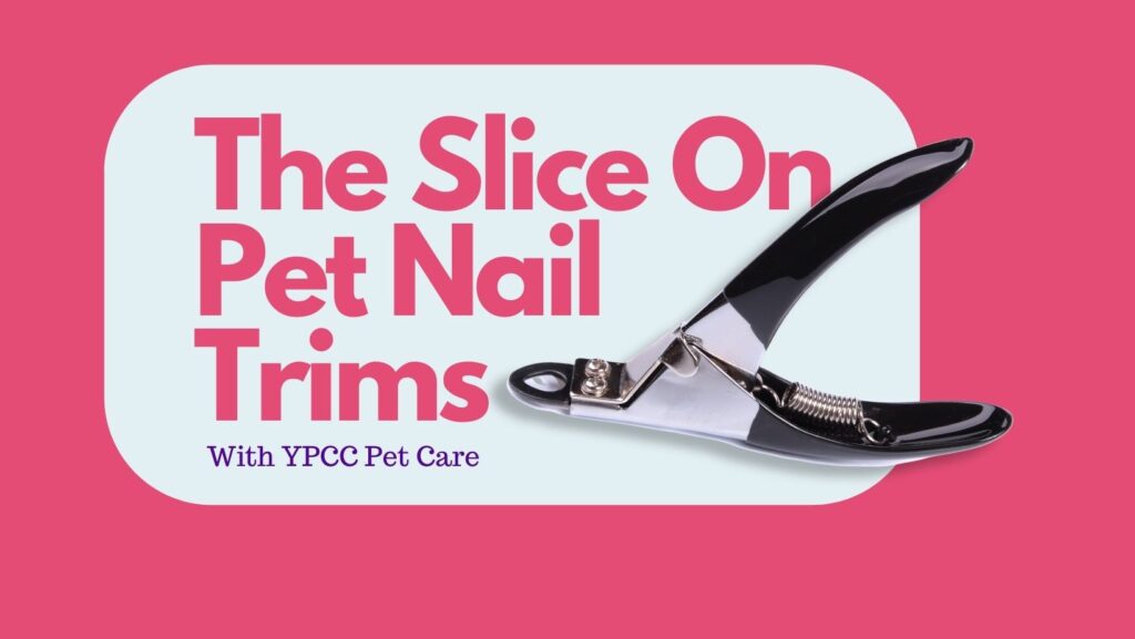 In-Home Pet Nail Trims