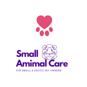 In-Home Small Animal Pet Sitting Care