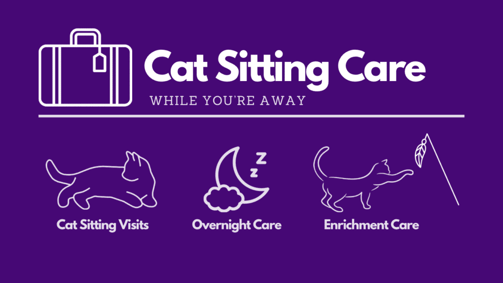 In-Home Cat Sitting Care