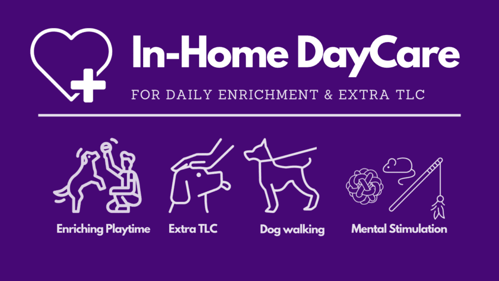 In-Home Pet Enrichment & Doggie Day Care