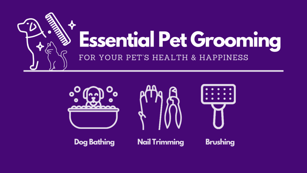In-Home Essential Pet Grooming Care
