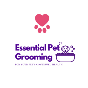 In-Home Essential Pet Grooming Care