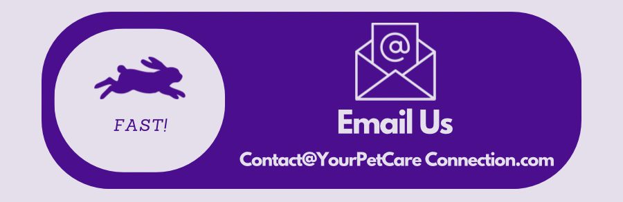 Ways To Contact Us. Get In Touch With Your Pet Care Connection Today!