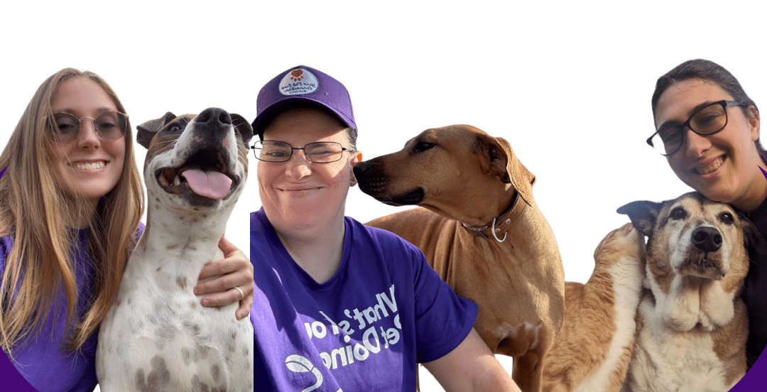 Meet YPCC's, Moore County NC, Professional In-Home Pet Sitters