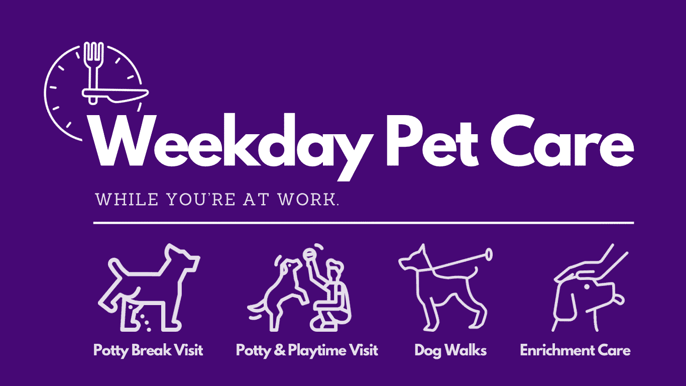 Weekday Pet Care Services, Your Pet Care Connection, Moore County NC