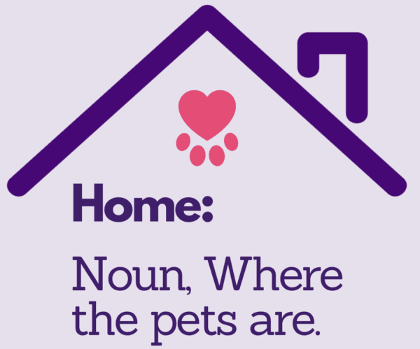 Home, Is Where The YPCC Pets Stay.