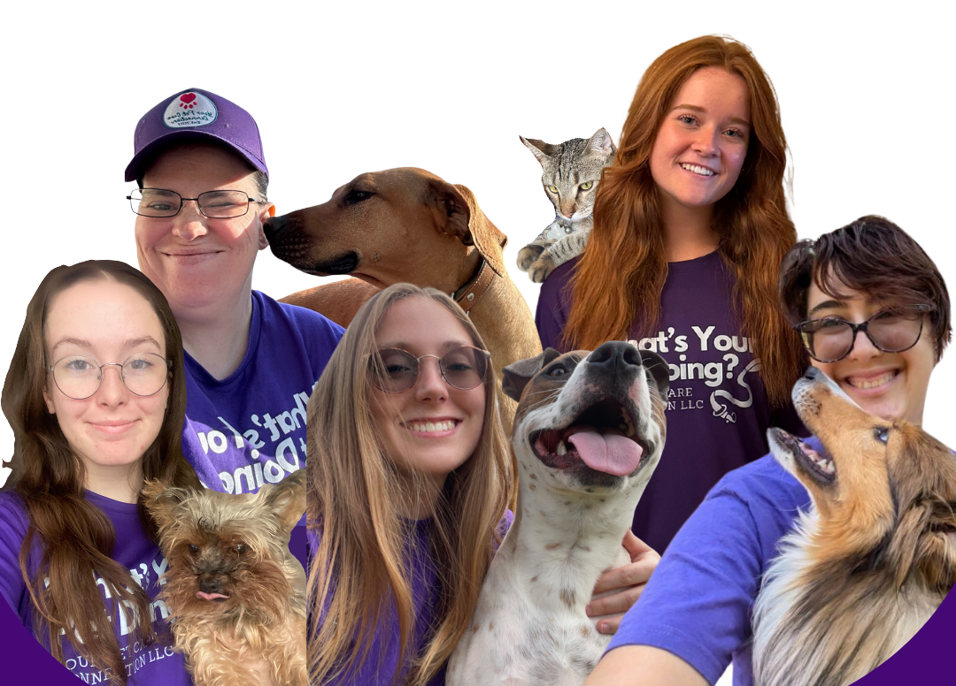 Meet YPCC's, Moore County NC, Professional In-Home Pet Sitters