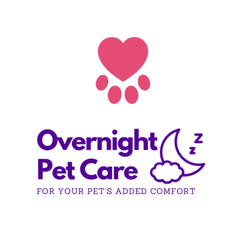 In-Home Overnight Pet Care