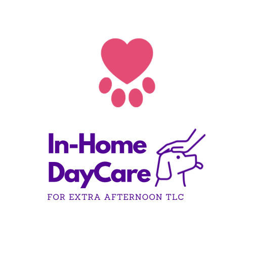 In-Home Pet Enrichment & Doggie Day Care