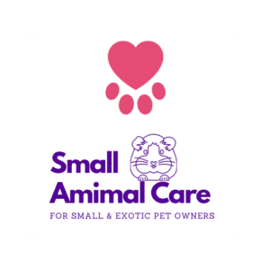 In-Home Small Animal Pet Sitting Care