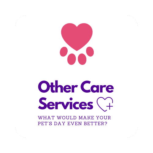 Other Add-On Pet Care Services, Your Pet Care Connection, Moore County NC