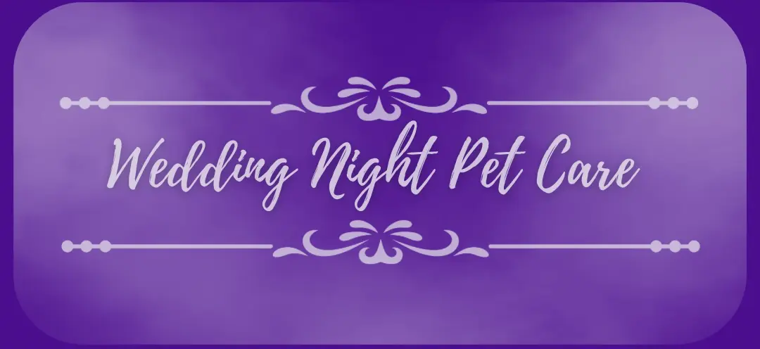 YPCC offers wedding night pet care services