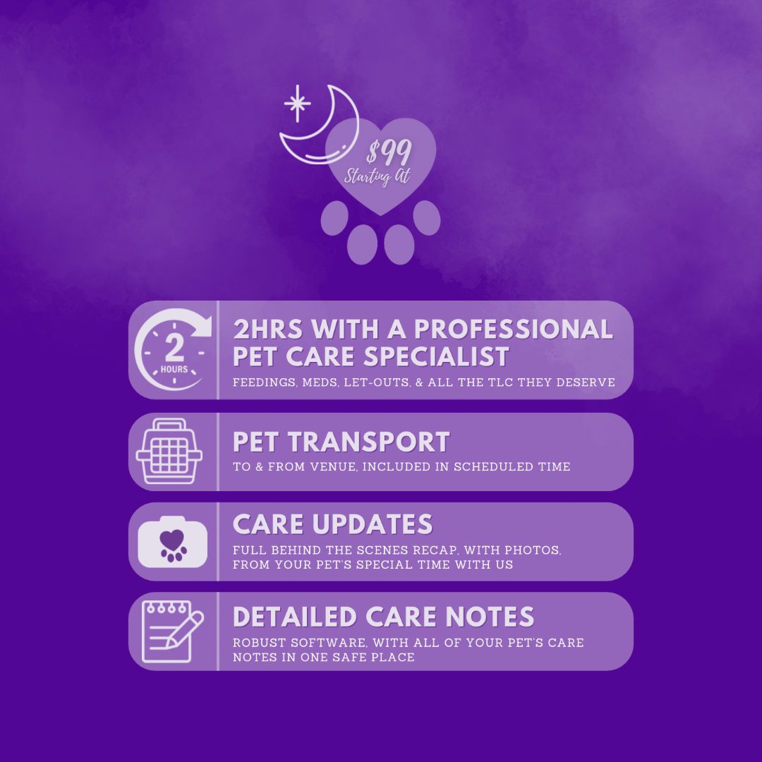 Two hour overnight pet care services, for your wedding night