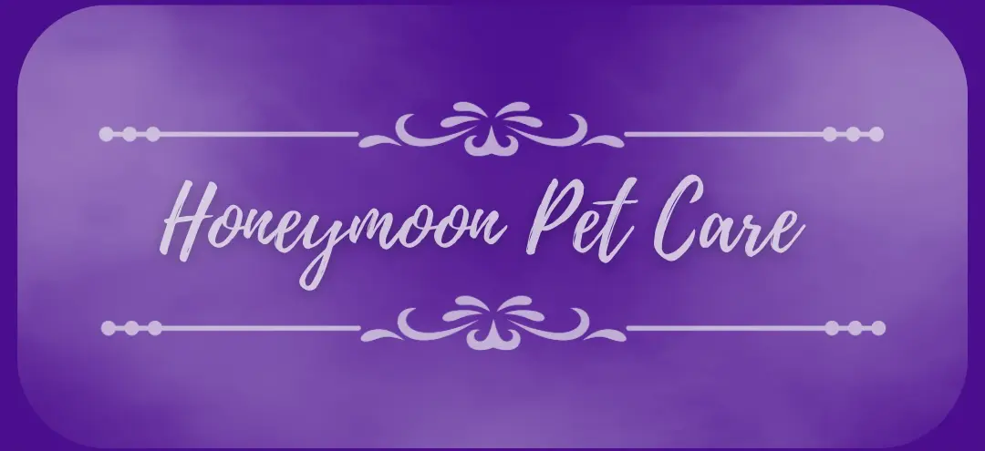 YPCC offers honeymoon pet care services