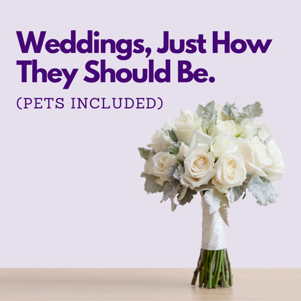 Weddings, how they should be, with pets included.