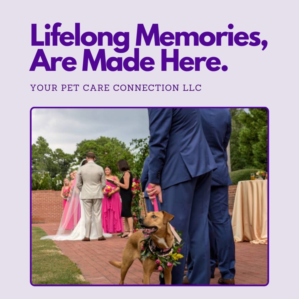 Make lifelong memories, with your pet at your wedding