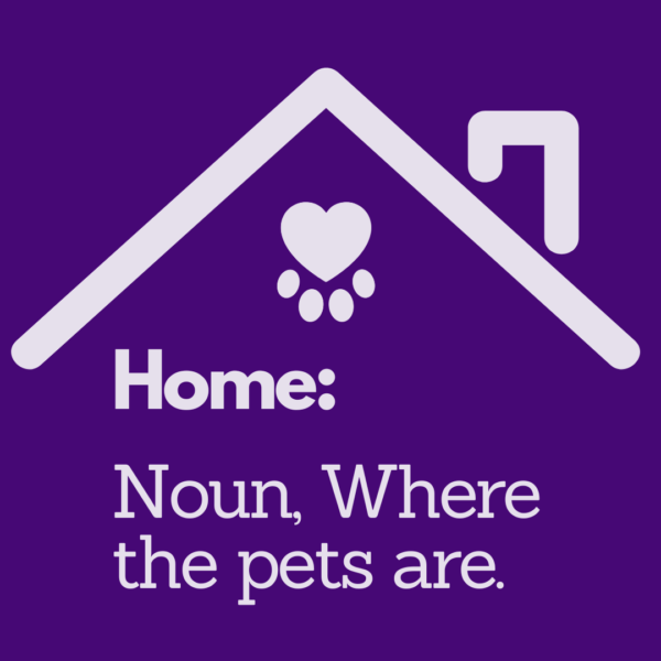 Home, Is Where Our YPCC Pet Care Family Stays.