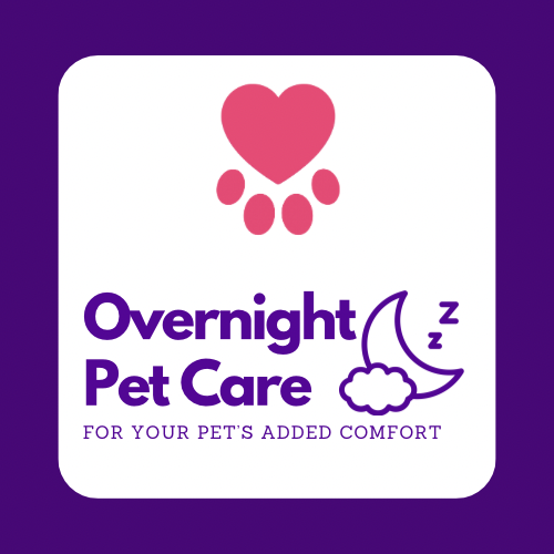 In-Home Overnight Pet Care Services