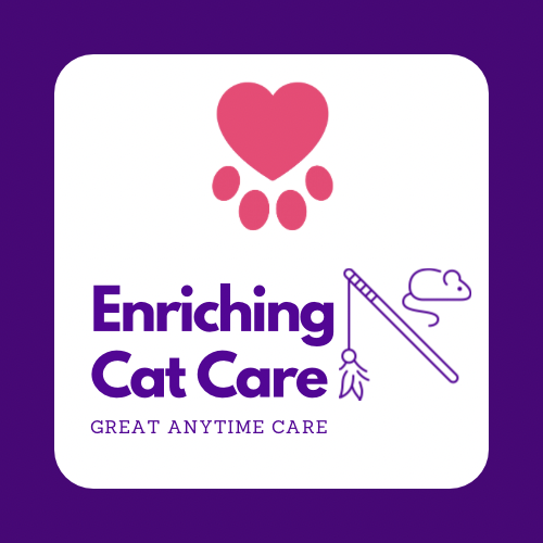 Cat Enrichment Care, Playtime + Mental Stimulation For Your Pet