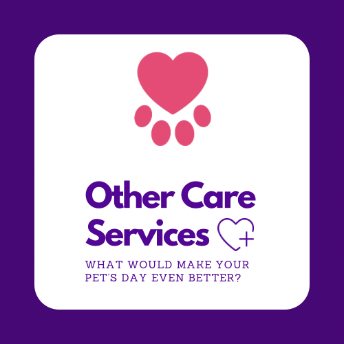 Other in-home pet care services, Your, Pet Care Connection