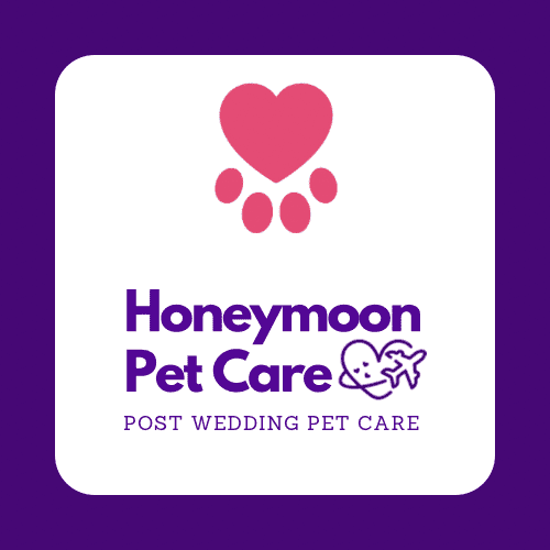 Honeymoon pet care services, post wedding pet sitting and overnight care services