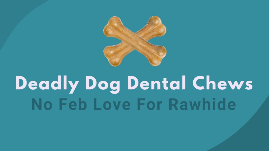 Deadly Dog Dental Chews, No Feb Love For Rawhide Chews