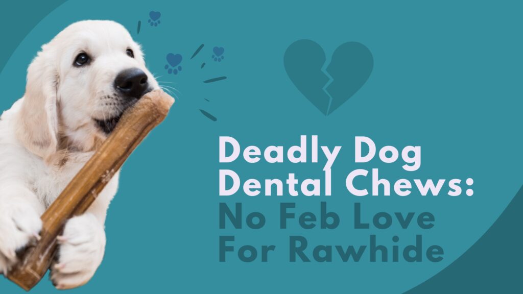 Deadly Dog Dental Chews, No Feb Love For Rawhide Chews