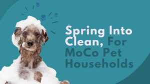 Spring Into Clean: Pet Cleanup Tips