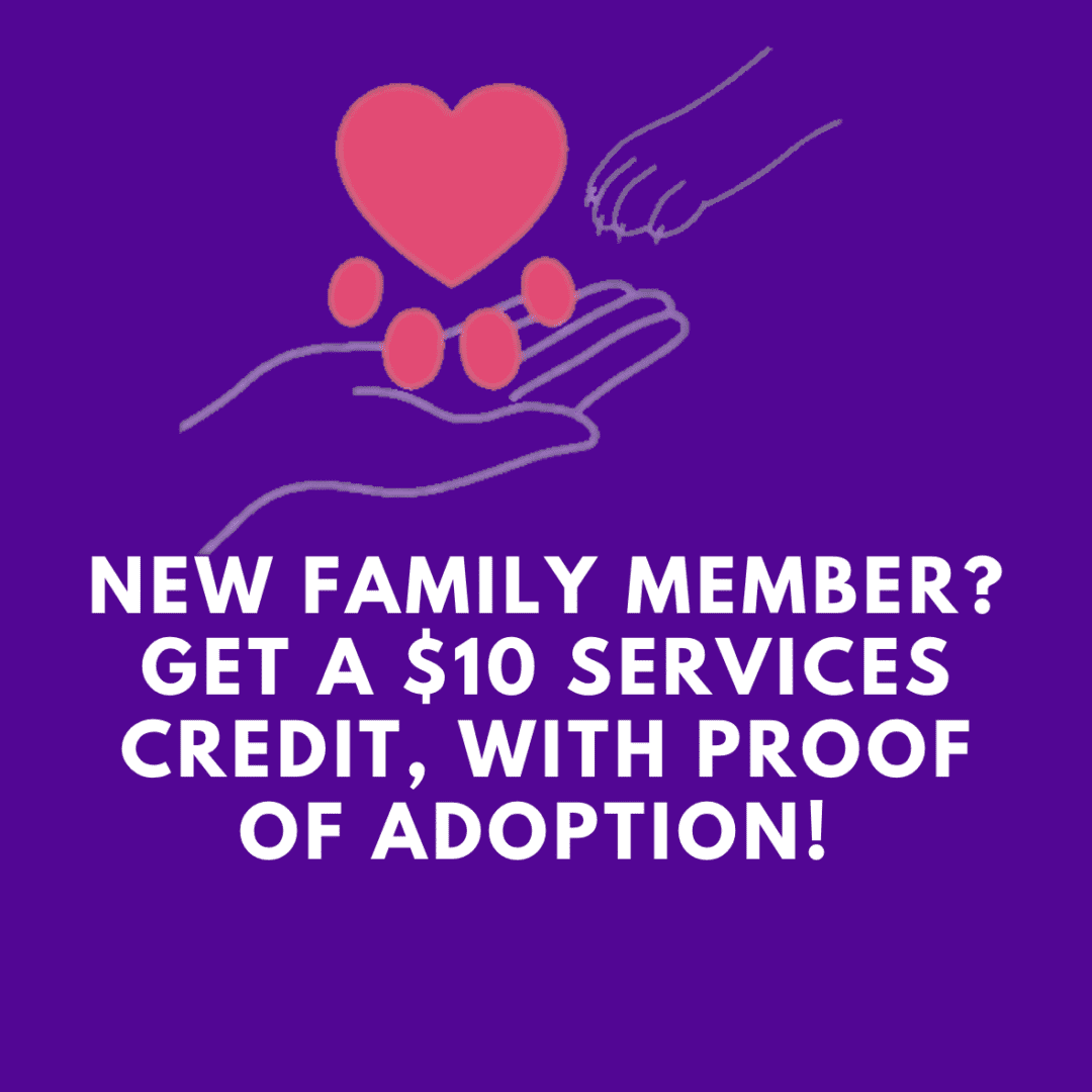 YPCC Charities - Pet Adoption Credit