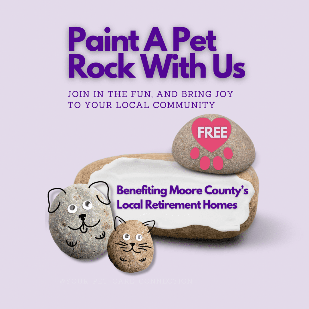 YPCC Charities, Paint A Pet Rock For Local Moore County Nursing Home Residents