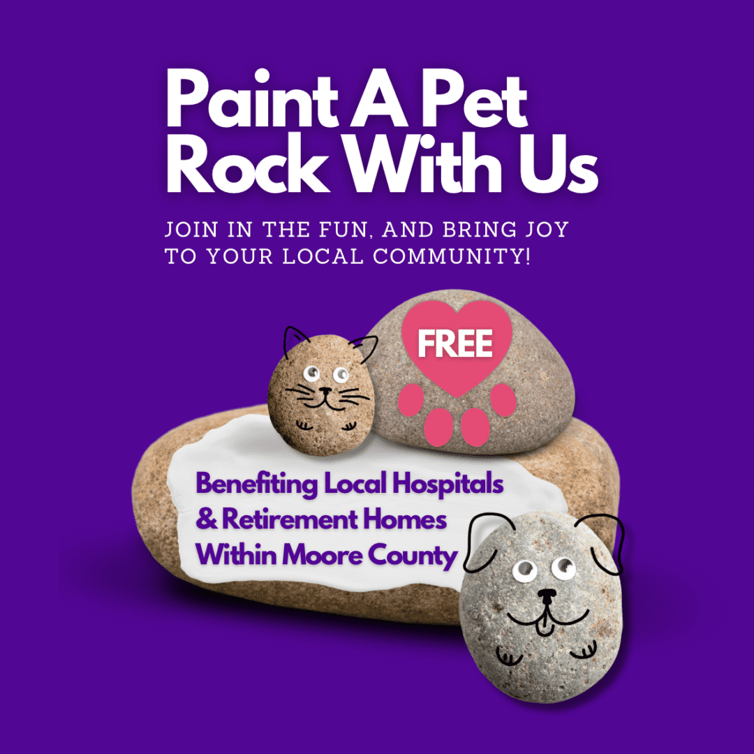 YPCC Charities, Paint A Pet Rock For Local Moore County Nursing Home Residents
