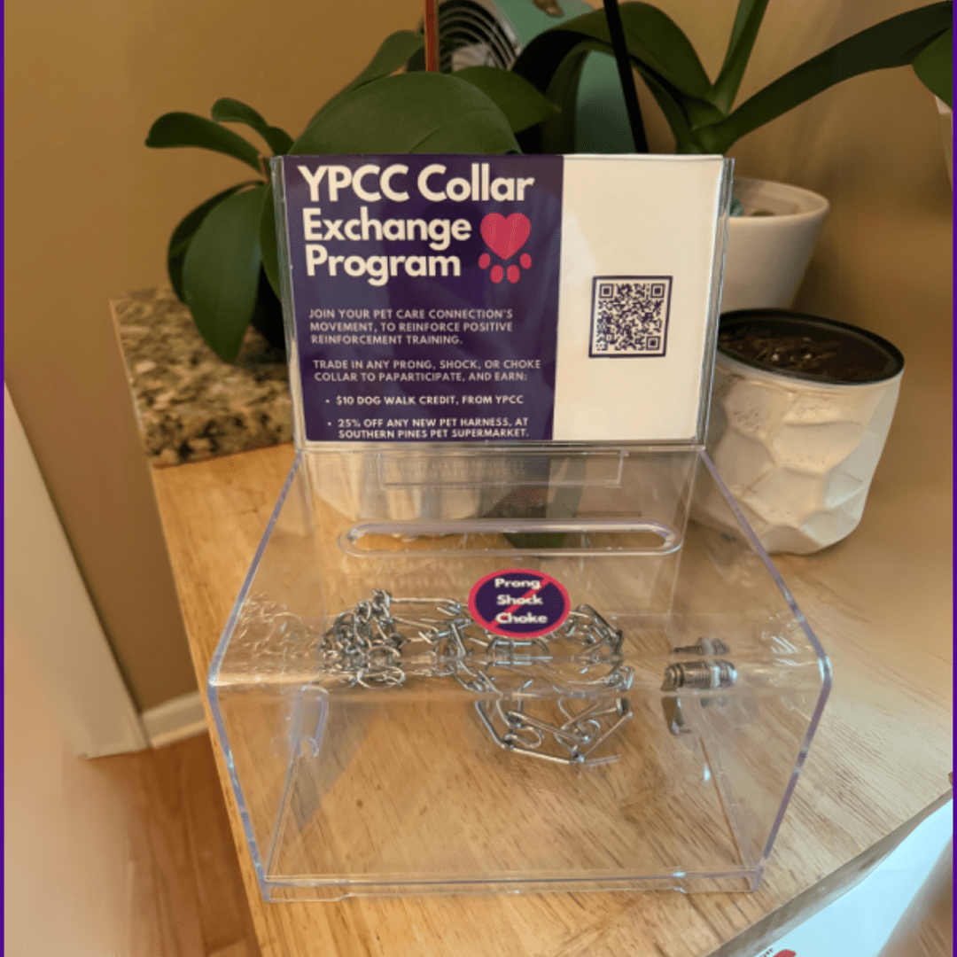 YPCC Events Calendar: YPCC Charity Pet Collar Trade In Program