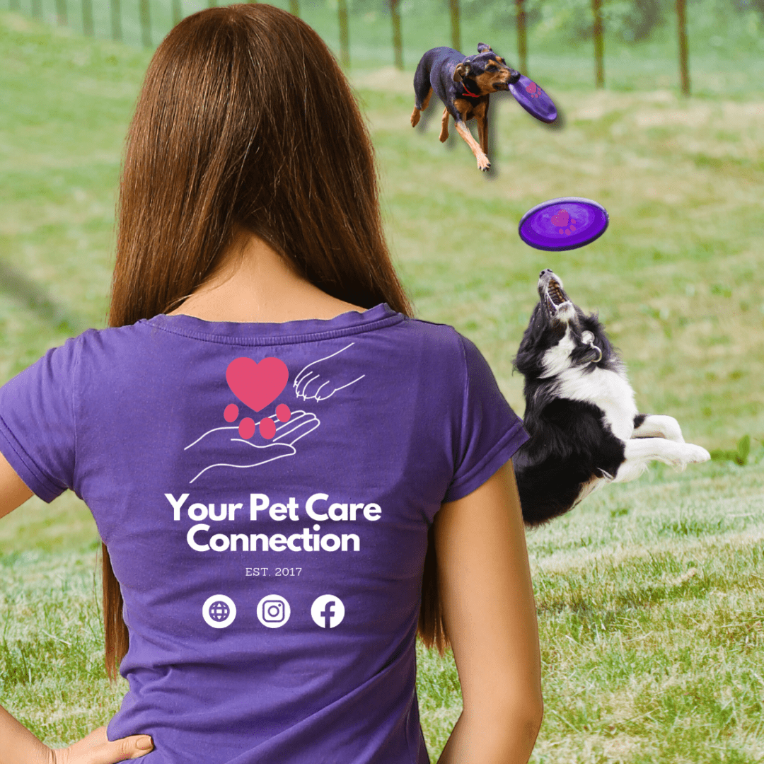About Us, Pet Care & Sitting Services, Your Pet Care Connection