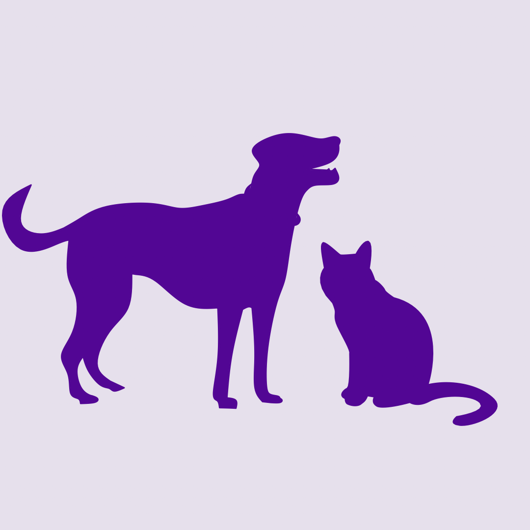 Pet Sitting Visit, Your Pet Care Connection, Moore County NC
