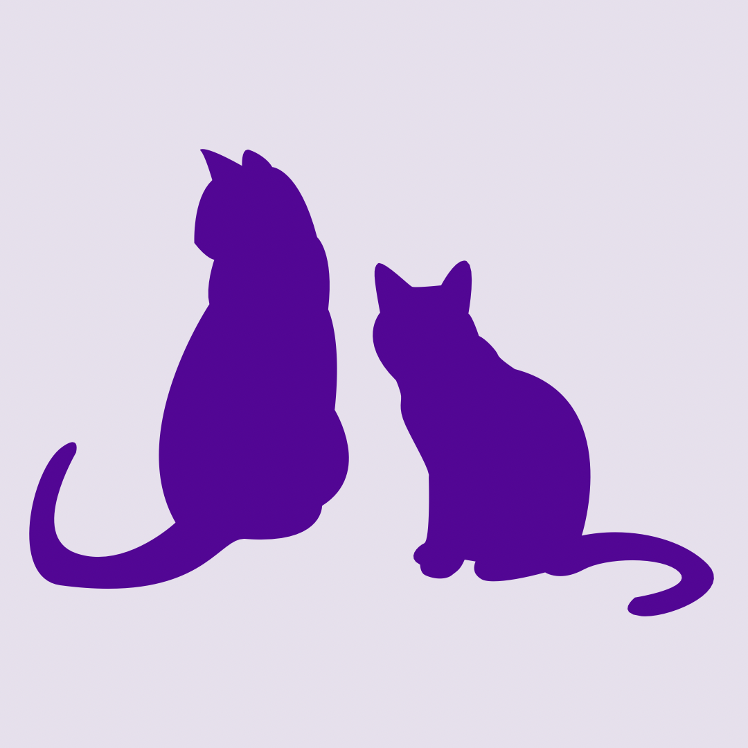 Cat Sitting Visit, Your Pet Care Connection, Moore County NC