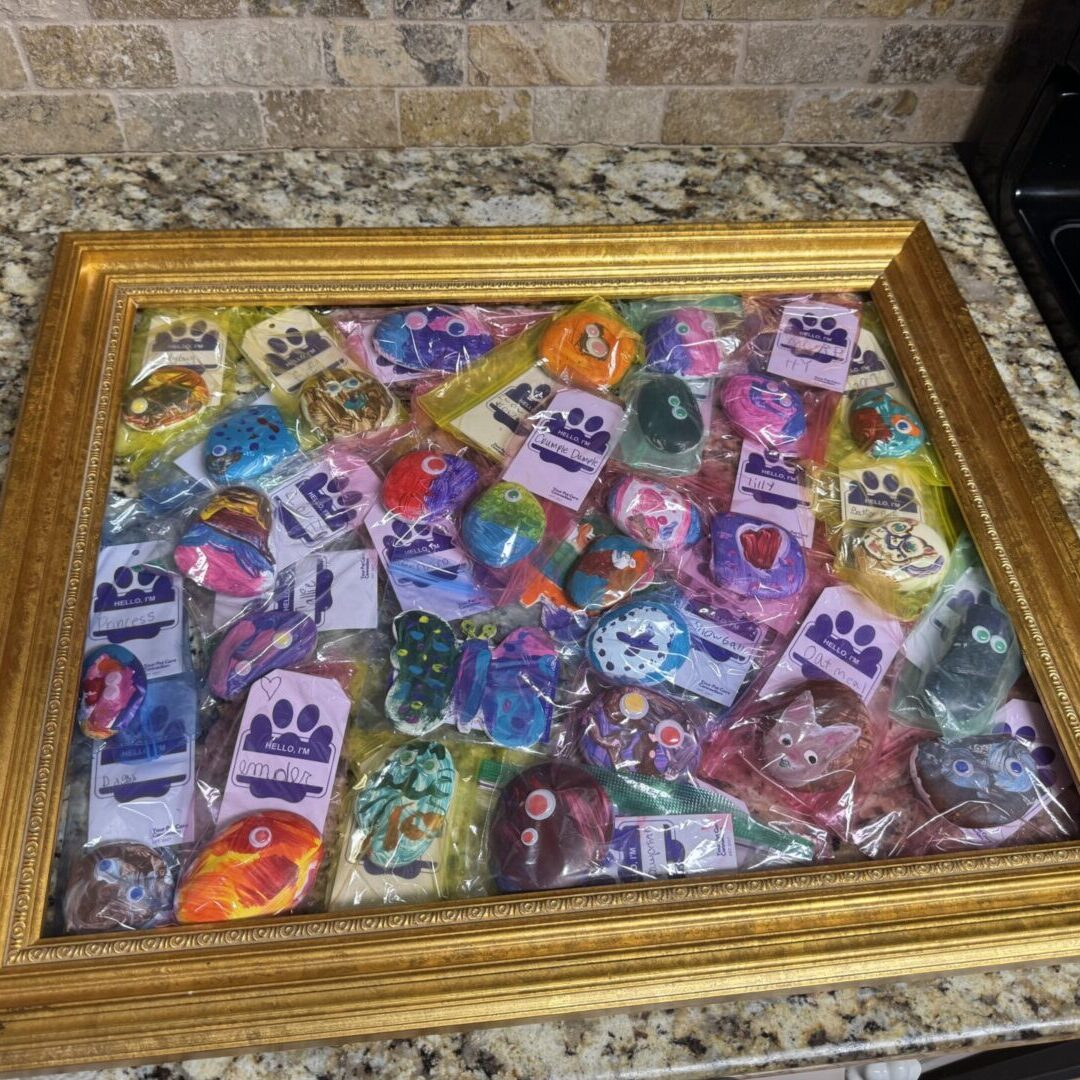 A picture of some cookies in a frame